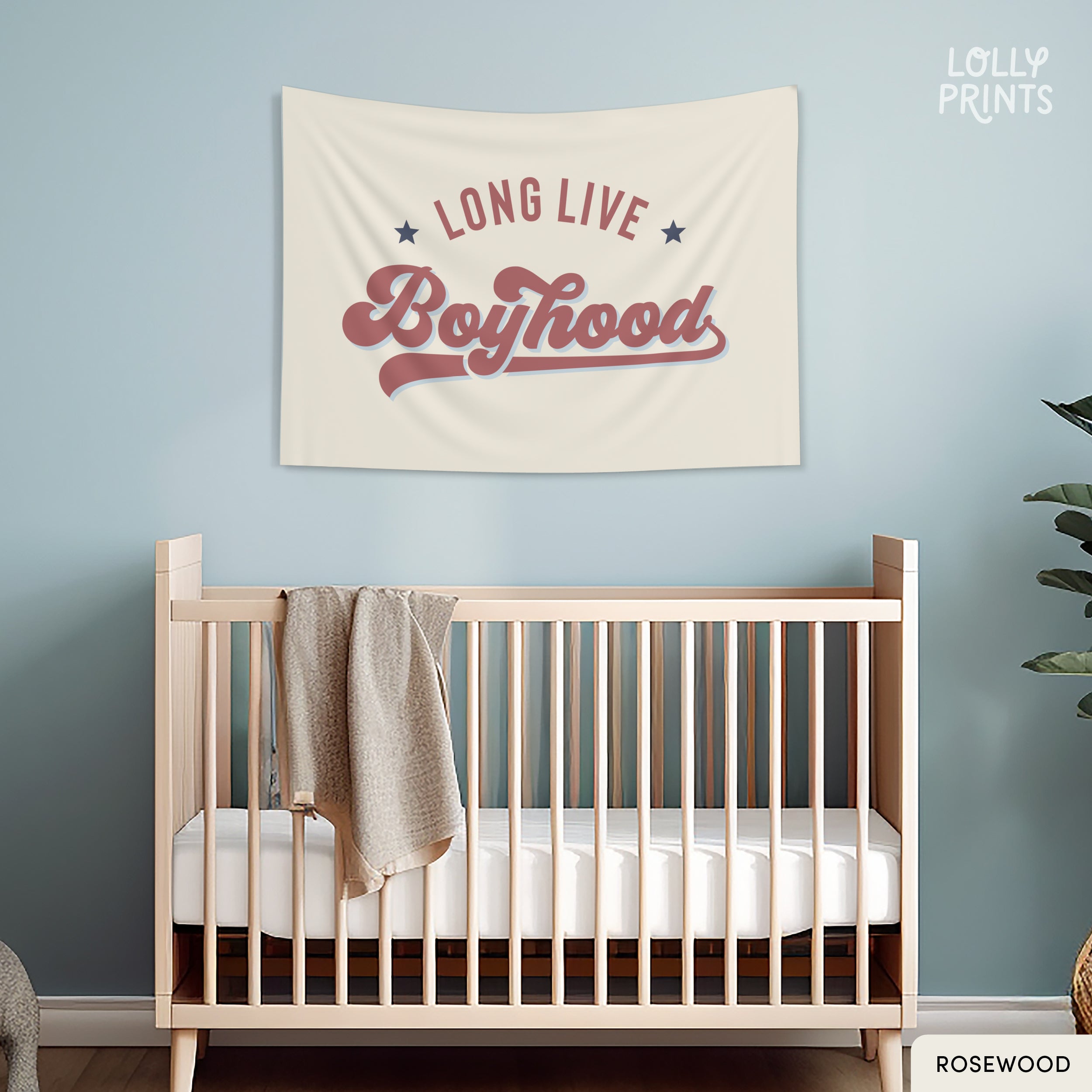 Long Live Boyhood Retro Banner 2