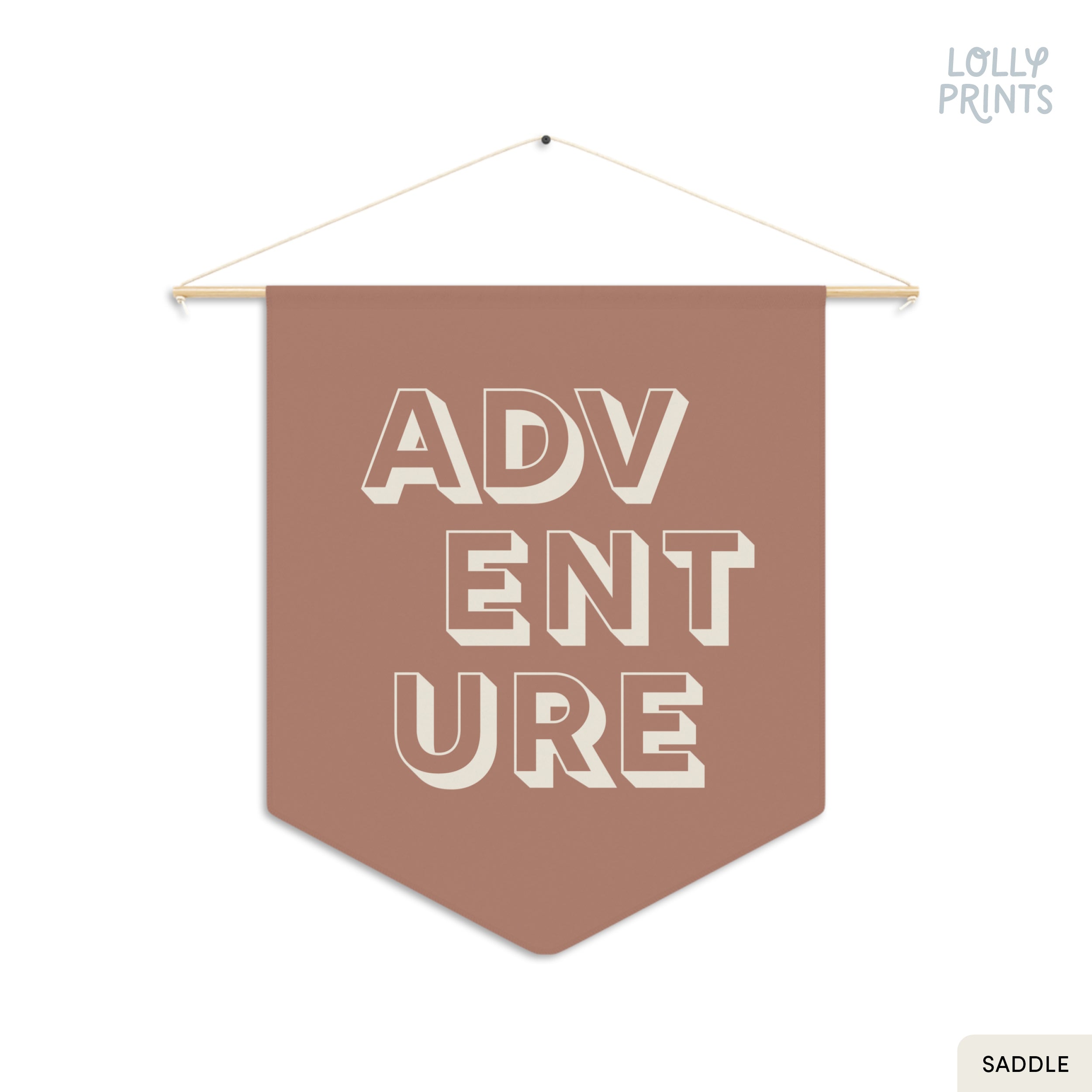 Adventure Pennant