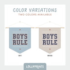 Boys Rule Pennant Flag