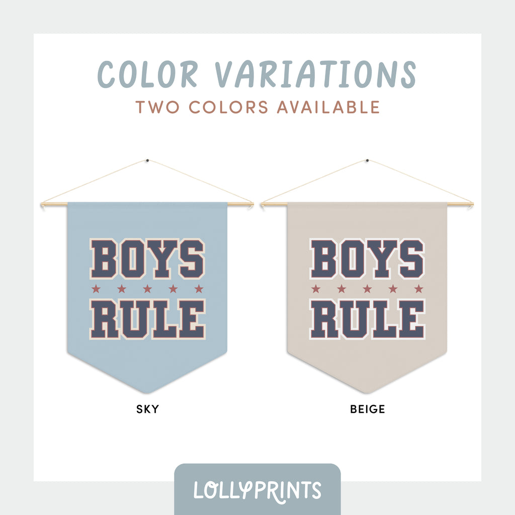 Boys Rule Pennant Flag with Stars