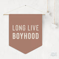 Long Live Boyhood Pennant Flag – Boy Room Wall Decor