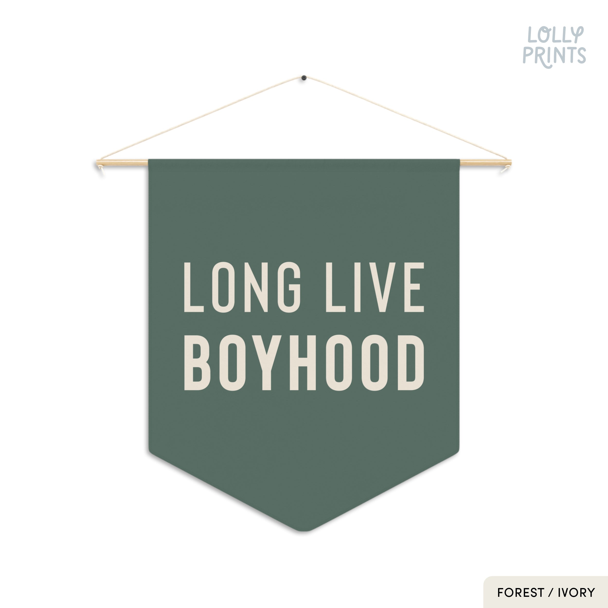 Long Live Boyhood Pennant Flag – Boy Room Wall Decor
