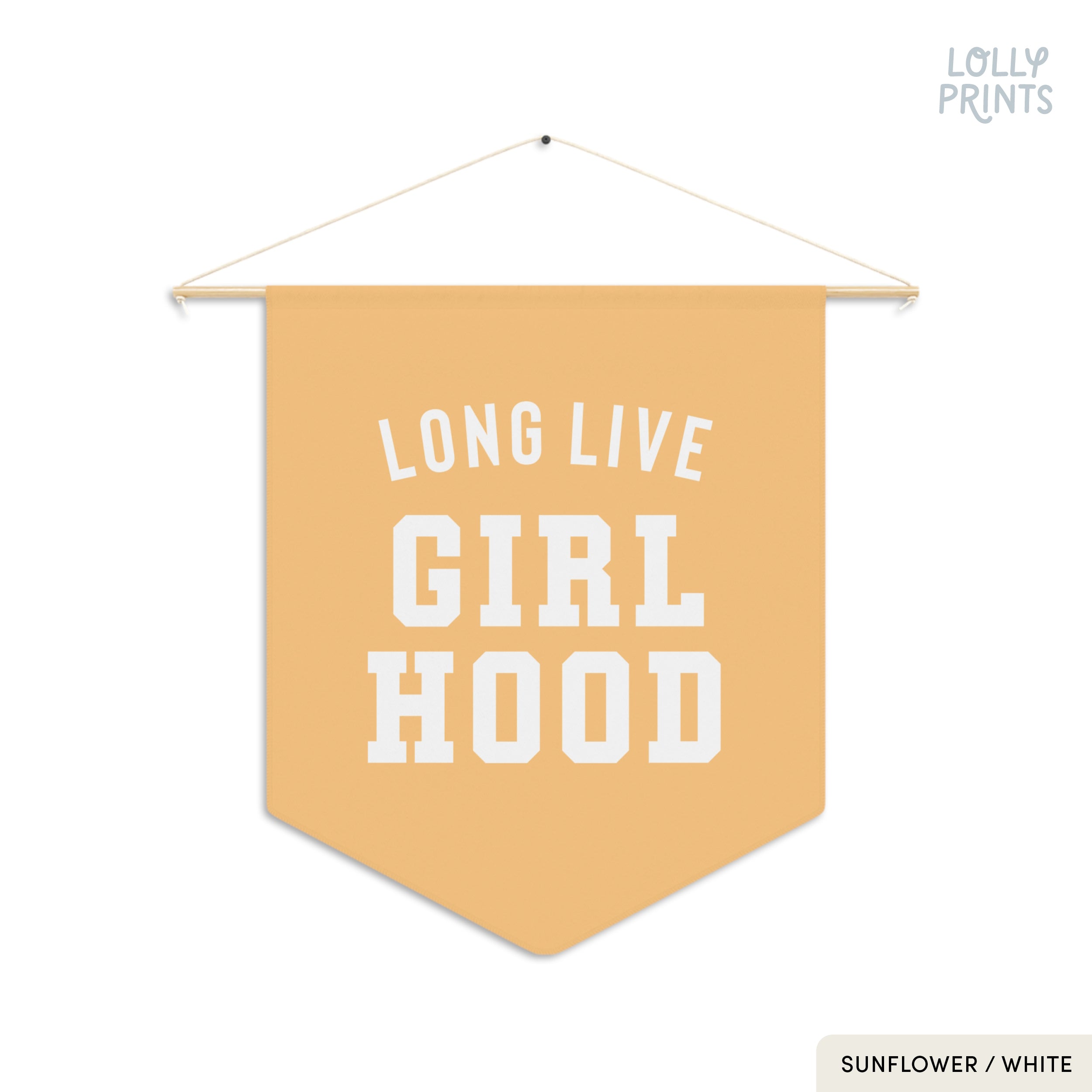 Long Live Girlhood 3 Pennant Flag – Girl Room Wall Art